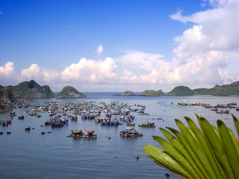 Vietnam