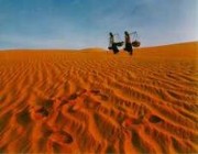 dunes de sable à Muïne